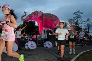 BIB: 
                            <button type="button" onclick="openModal(26529635)" class="btn btn-primary btn-sm float-right btn-popup" data-toggle="modal" data-target=".modal-high-quality">
                        <i class="fas fa-shopping-cart"></i> Add to Cart
                    </button>
                                            <button type="button" onclick="isThisMe(26529635, true)" class="btn btn-success btn-sm float-right btn-popup btn-isme hidden" data-toggle="tooltip" data-placement="bottom" title="นี่คือรูปของคุณใช่ไหม คลิกที่นี่เพื่อเอาเข้าอัลบั้ม">
                        <i class="fas fa-plus"></i> Add to album
                    </button>
                    <button type="button" onclick="isThisMe(26529635, false)" class="btn btn-warning btn-sm float-right btn-popup btn-isnotme hidden">
                        <i class="fas fa-ban"></i> Remove from album
                    </button>